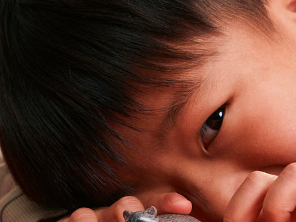 SCHLEICH WILD LIFE Pesukaru