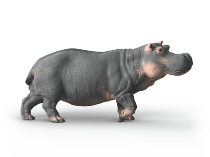 SCHLEICH WILD LIFE Jõehobu