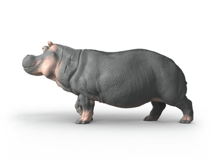 SCHLEICH WILD LIFE Jõehobu