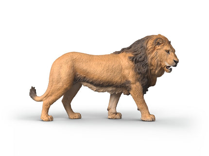 SCHLEICH WILD LIFE Aafrika lõvi
