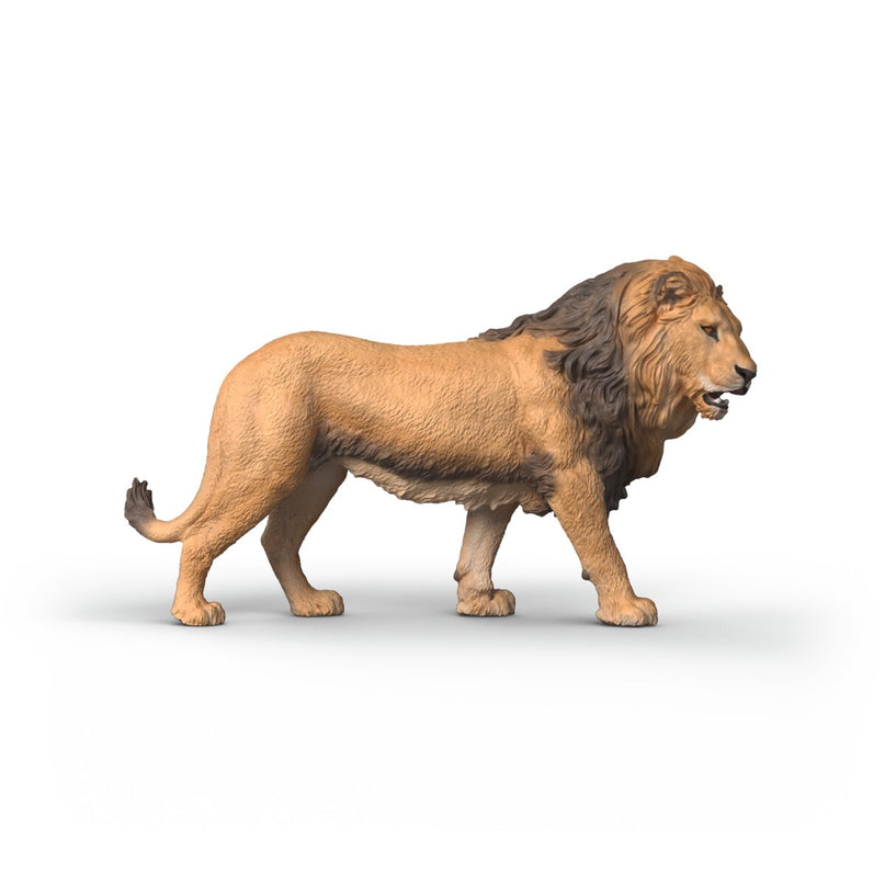 SCHLEICH WILD LIFE Aafrika lõvi