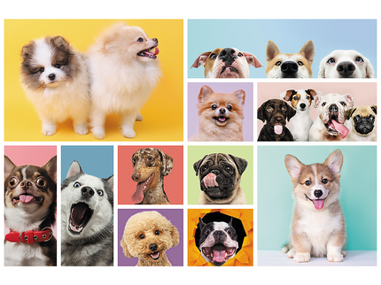 TREFL Pusle Koerad, 160 osa