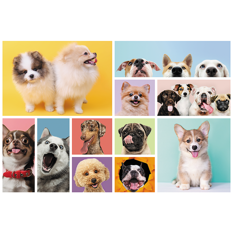 TREFL Pusle Koerad, 160 osa