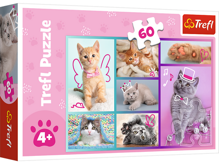 TREFL Pusle Kassipojad, 60 osa