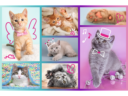 TREFL Pusle Kassipojad, 60 osa