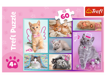 TREFL Pusle Kassipojad, 60 osa