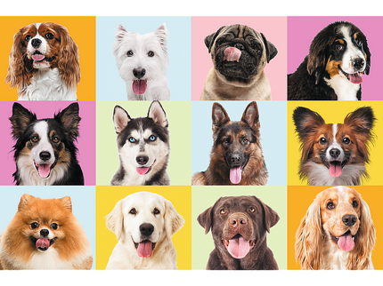 TREFL Pusle Koerapojad, 60 osa