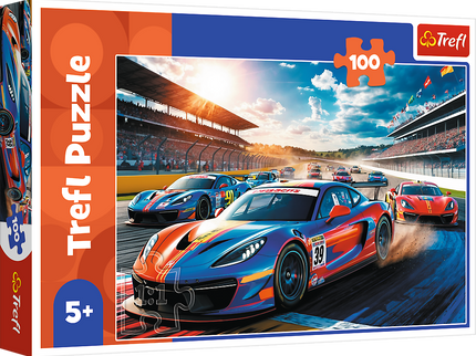 TREFL Pusle ralliauto, 100 osa