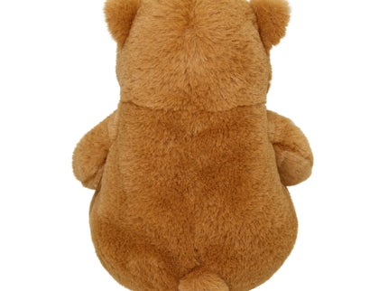 AURORA Sluuumpy pehme mänguasi Karu, 20 cm