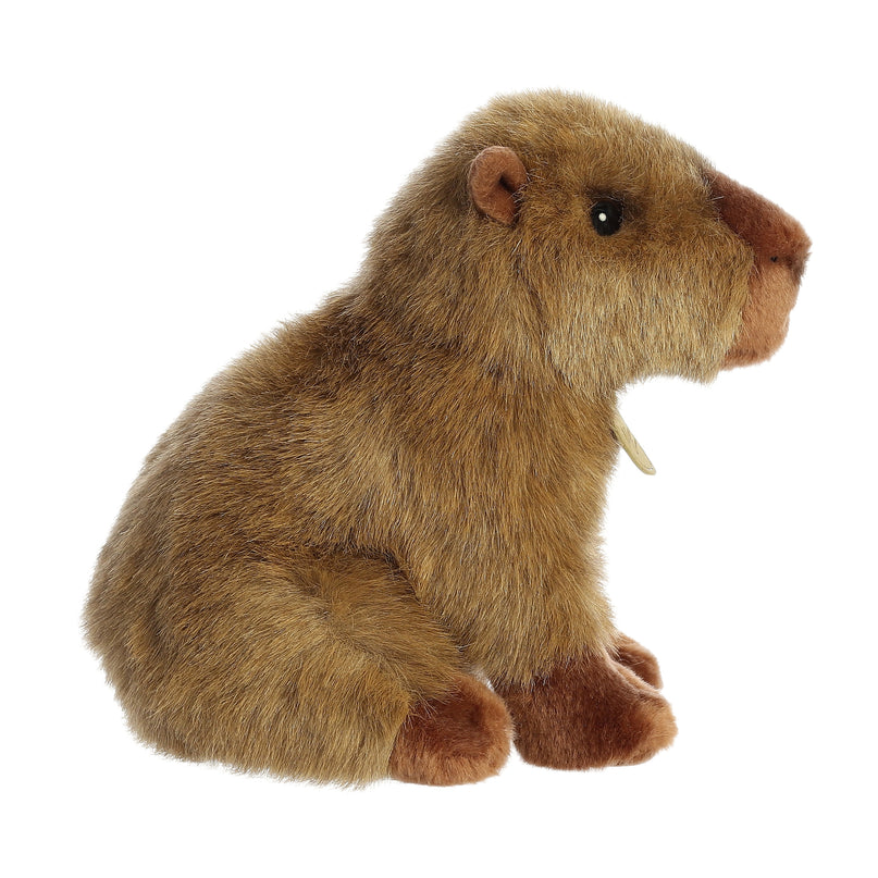 AURORA Miyoni pehme mänguasi kapibara, 20 cm