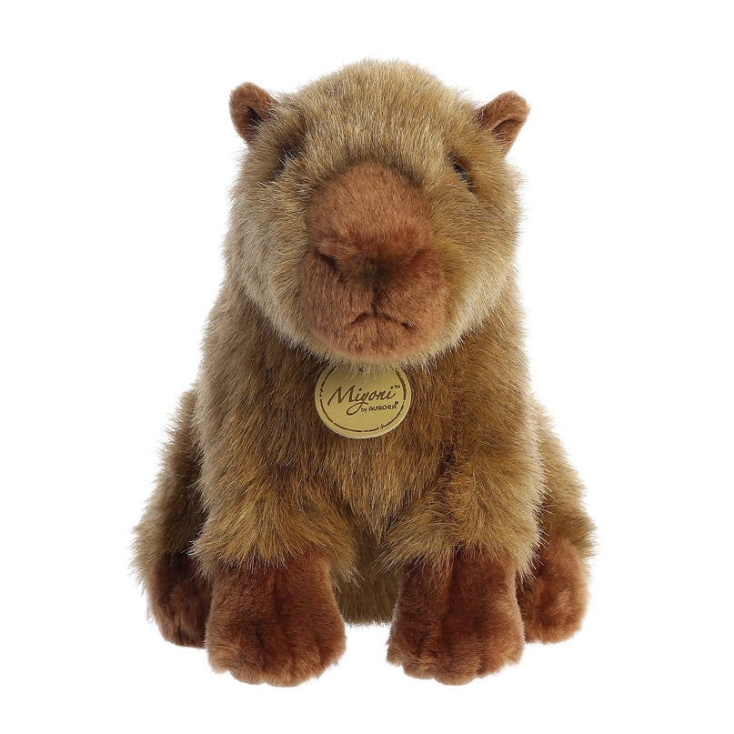 AURORA Miyoni pehme mänguasi kapibara, 20 cm
