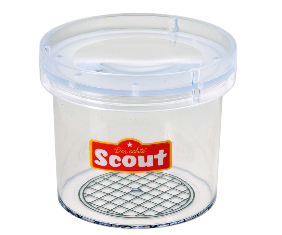 Putukate vaatlemise komplekt luubiga