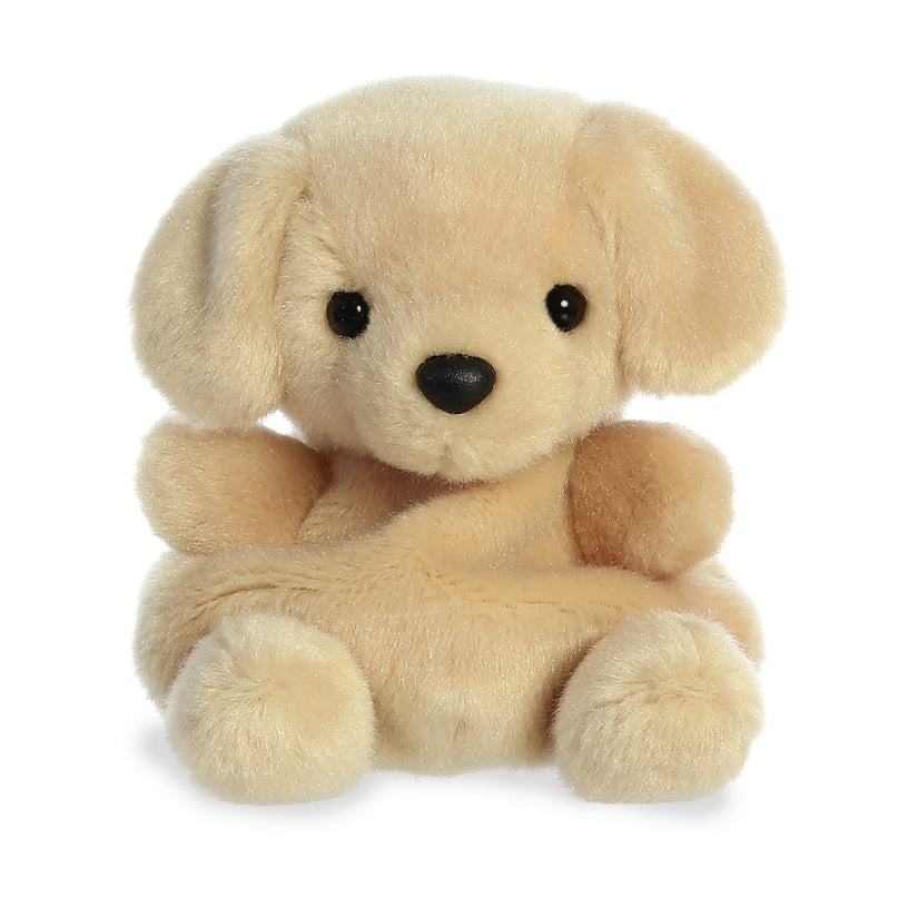 AURORA Palm Pals pehme mänguasi Sunny labrador, 12 cm