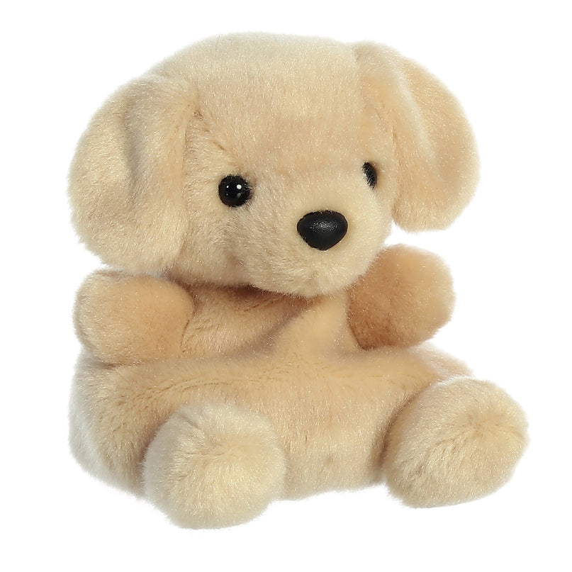 AURORA Palm Pals pehme mänguasi Sunny labrador, 12 cm