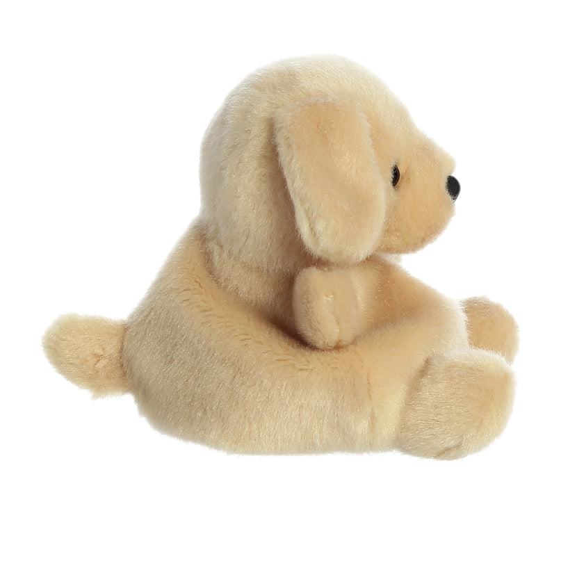 AURORA Palm Pals pehme mänguasi Sunny labrador, 12 cm