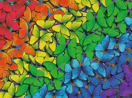 TREFL puidust pusle Värvilised liblikad, 500 osa