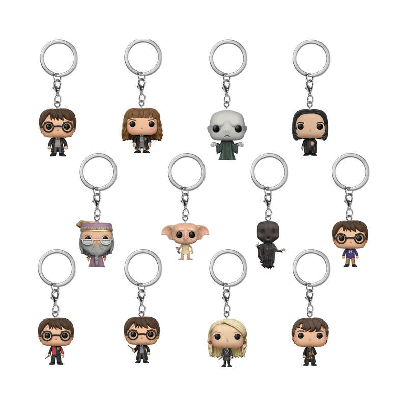 FUNKO POP! Võtmehoidja: Harry Potter (Blind)