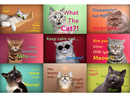 TREFL Pusle Kassid, 1500 osa