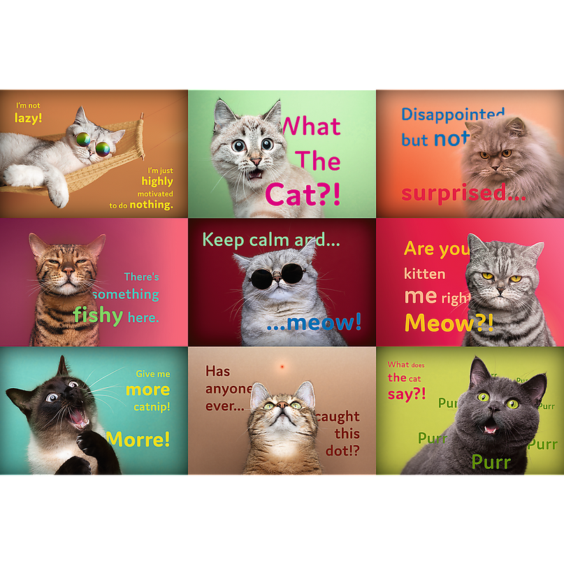 TREFL Pusle Kassid, 1500 osa