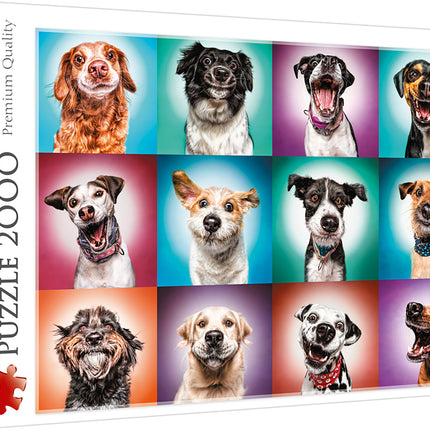 Collection image for: Puzzles 2000 Pcs.