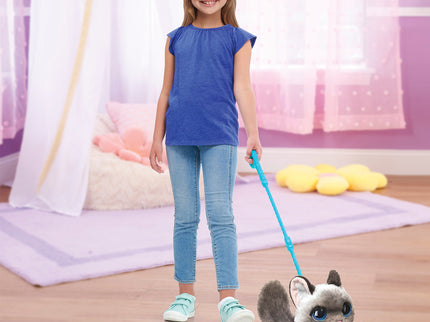 FURREAL interaktiivne loom Wag-a-lots Kitty