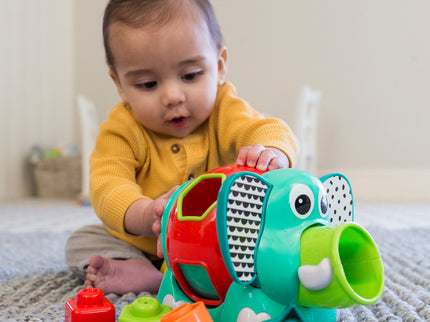 INFANTINO Jumbo kujundite sorteerija