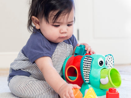 INFANTINO Jumbo kujundite sorteerija