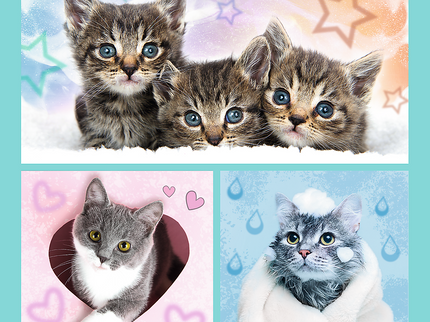 TREFL Pusle komplekt Kassipojad, 3 tk