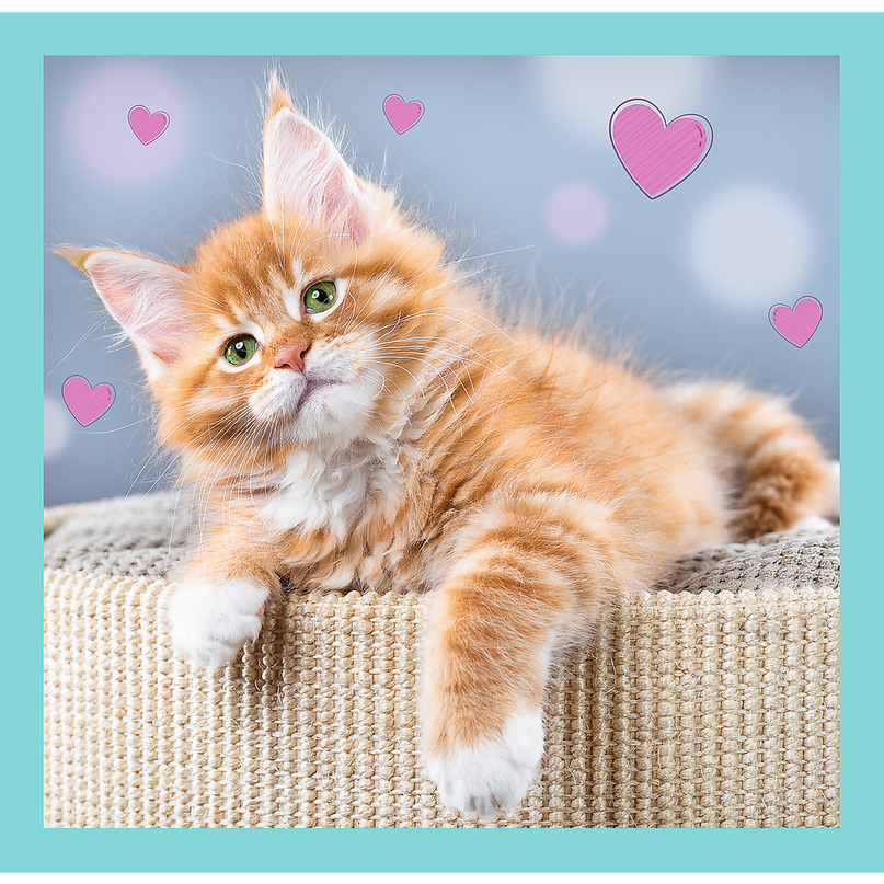 TREFL Pusle komplekt Kassipojad, 3 tk