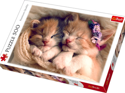 TREFL Pusle Kassipojad, 500 osa