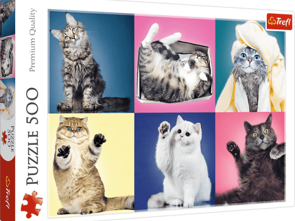 TREFL Pusle Kassipojad, 500 osa