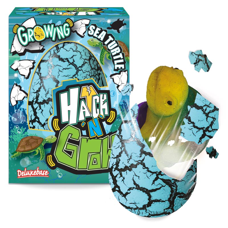 Hatch ´ N´ Grow Munast kooruv kilpkonn