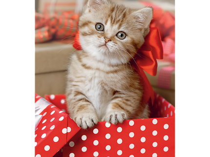 TREFL Mini 54 pusle Armsad loomad