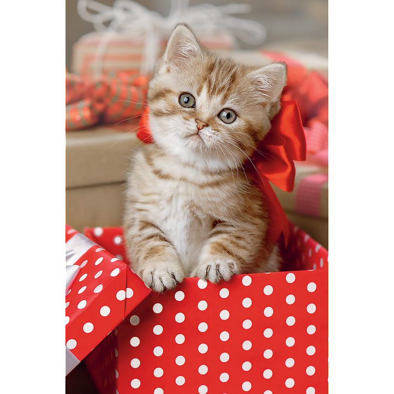 TREFL Mini 54 pusle Armsad loomad