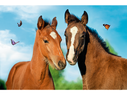 TREFL Mini 54 pusle Armsad loomad