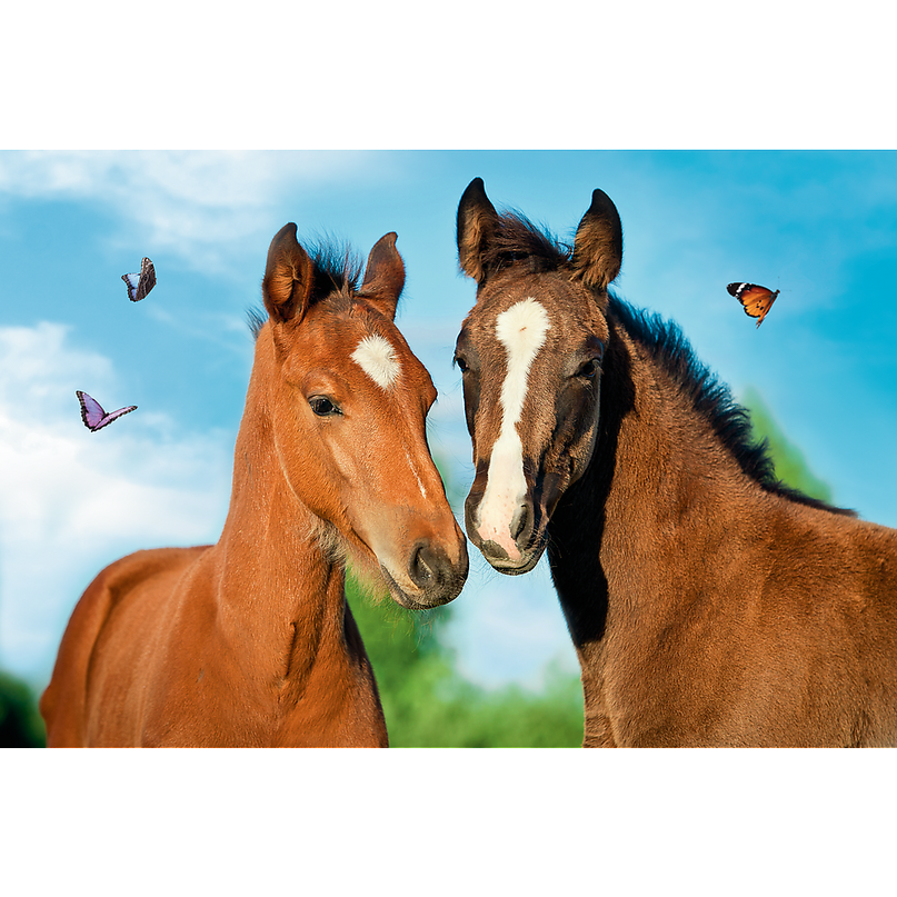 TREFL Mini 54 pusle Armsad loomad