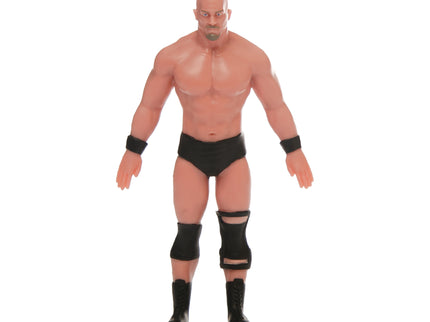 TCG Tegevusfiguur Flexfigs WWE Legendid