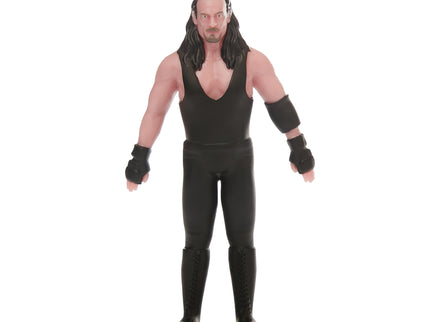 TCG Tegevusfiguur Flexfigs WWE Legendid