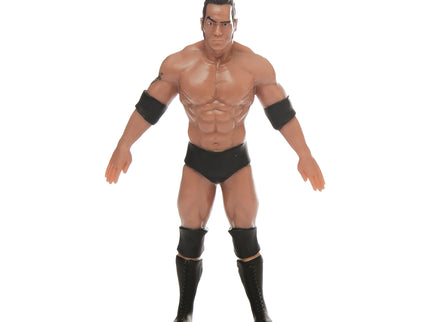 TCG Tegevusfiguur Flexfigs WWE Legendid