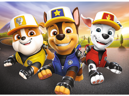 TREFL PAW PATROL Mini maxi pusle Käpapatrull, 20 osa