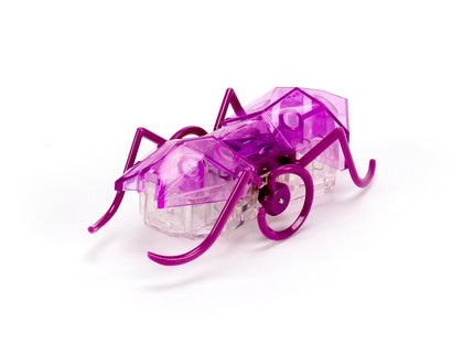 HEXBUG interaktiivne mänguasi Mikro sipelgas