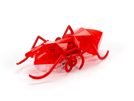 HEXBUG interaktiivne mänguasi Mikro sipelgas