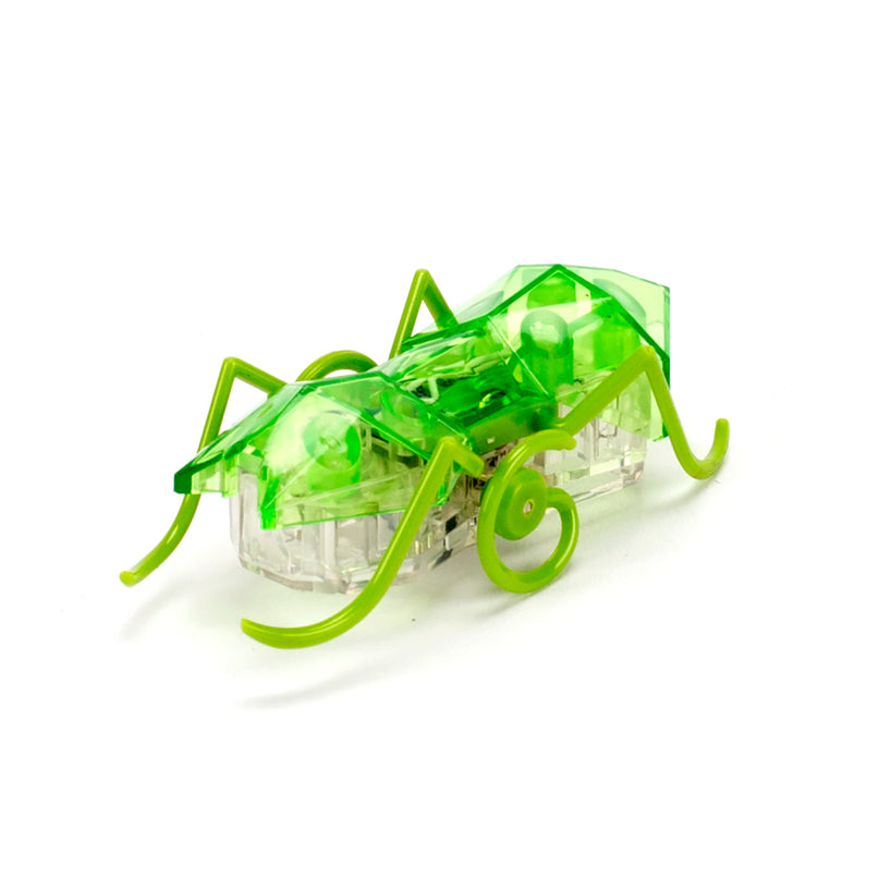 HEXBUG interaktiivne mänguasi Mikro sipelgas