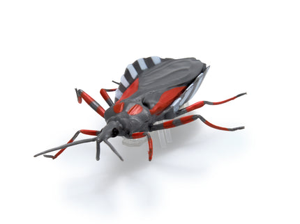 HEX BOTS interaktiivne mänguasi Nano Real Bugs 5 pakk