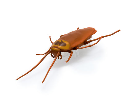 HEX BOTS interaktiivne mänguasi Nano Real Bugs 5 pakk