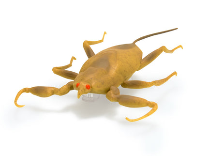 HEX BOTS interaktiivne mänguasi Nano Real Bugs 5 pakk