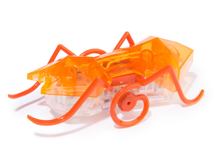 HEX BOTS interaktiivne mänguasi Mikro sipelgas