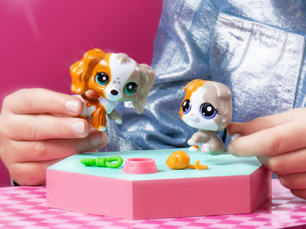LITTLEST PET SHOP figuuride komplekt, 2tk