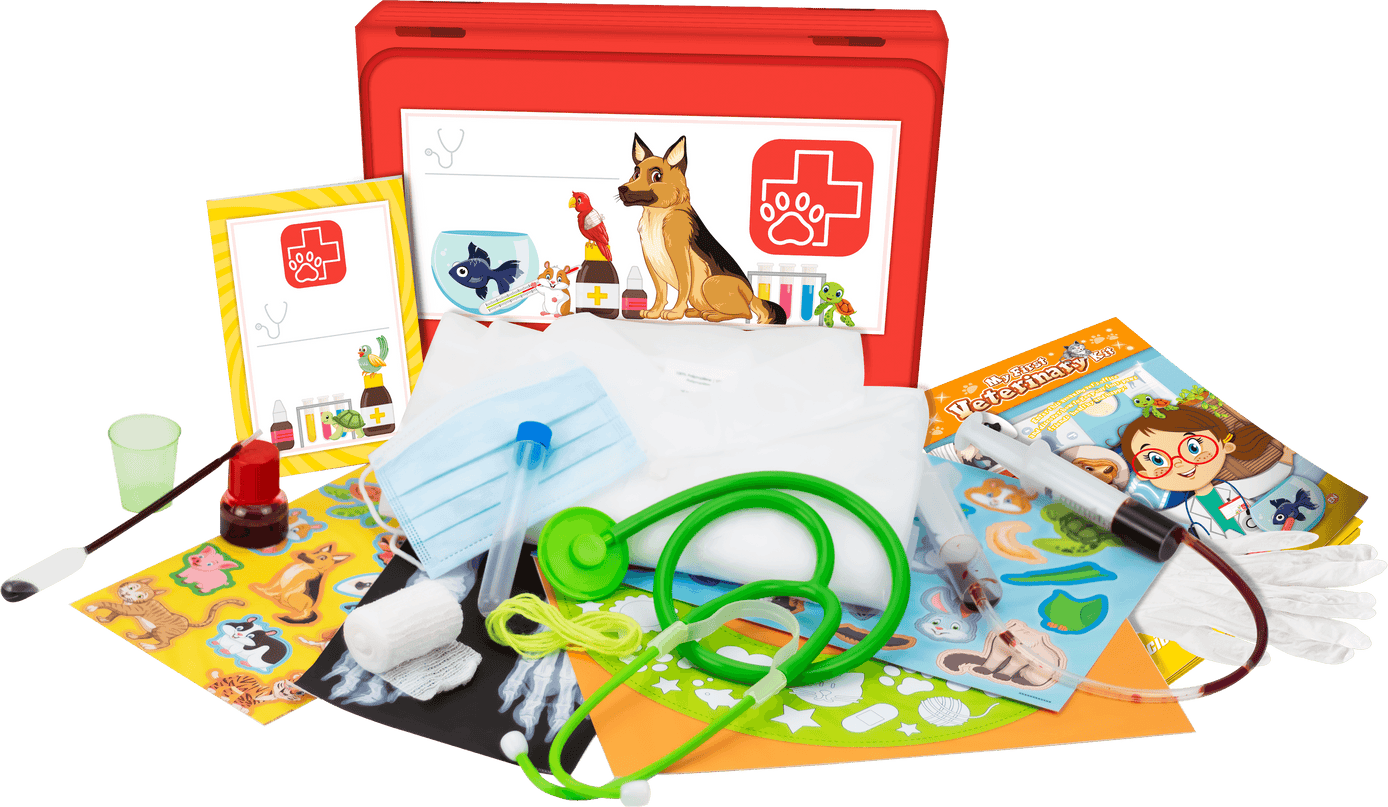 bo. Arendav komplekt "Minu Esimene Loomaarsti komplekt"