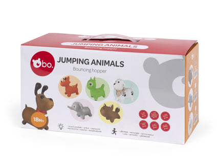 bo. Hüppeloom Dalmaatsia koer